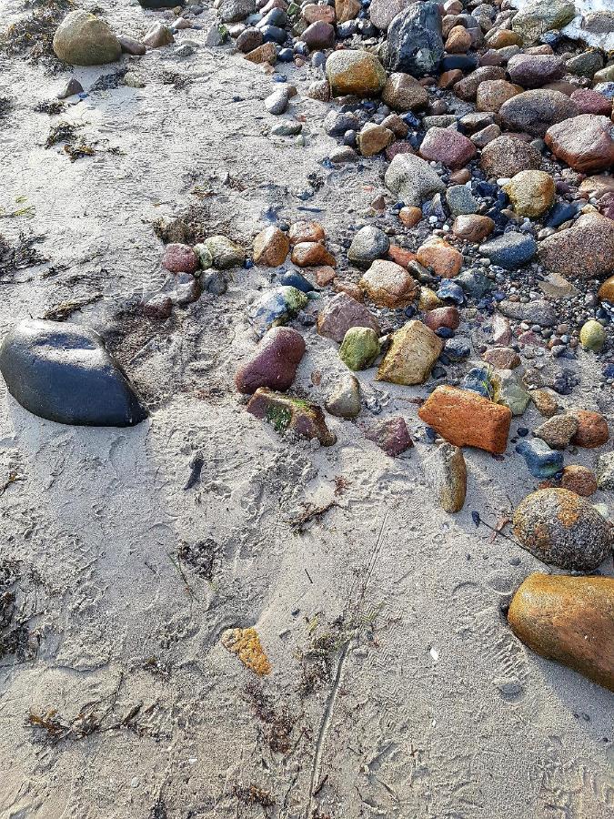 Strandappartement Steinberghaff "Farborg" Mit Meerblick Steinberg  Exterior foto