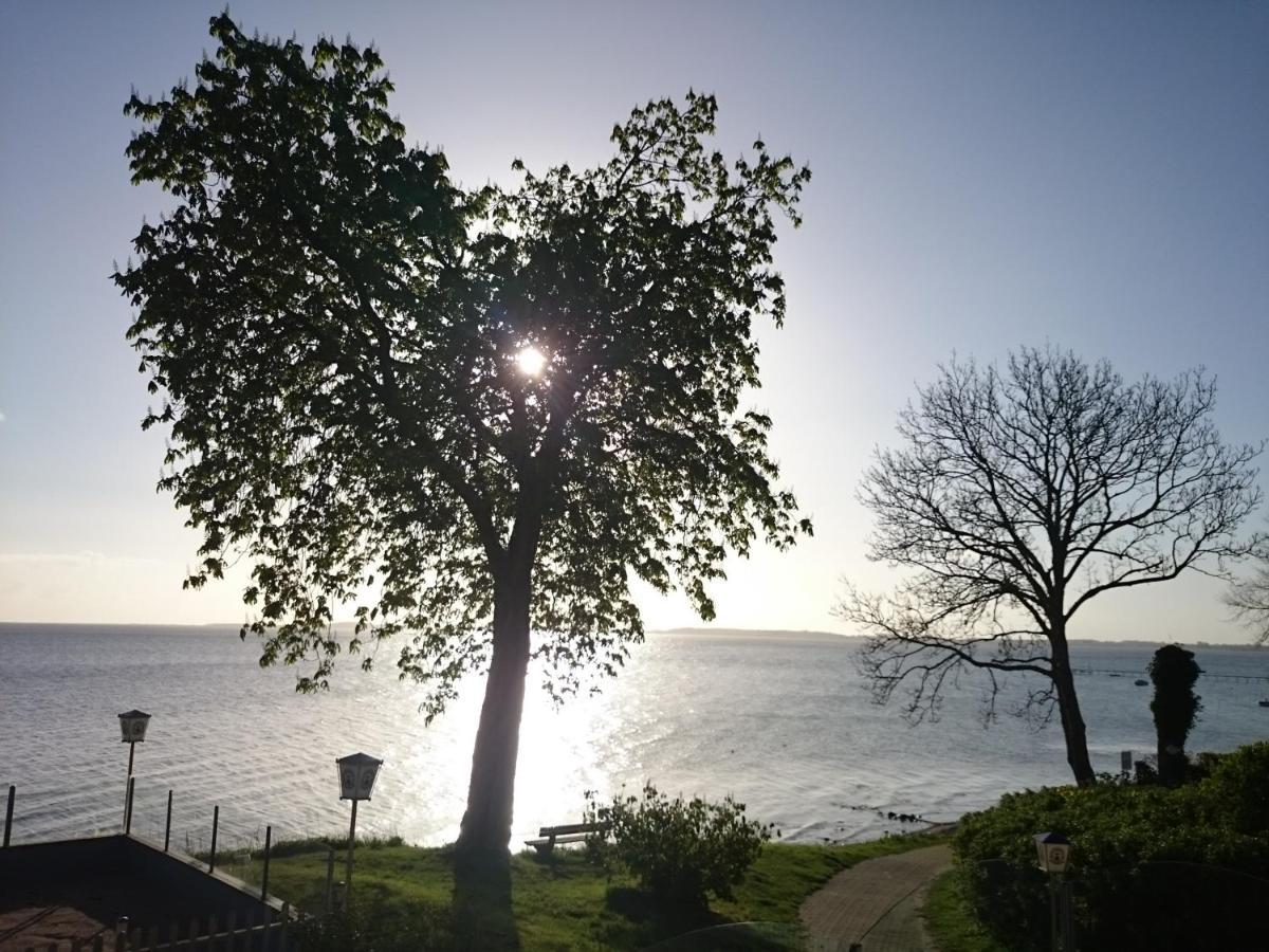 Strandappartement Steinberghaff "Farborg" Mit Meerblick Steinberg  Exterior foto